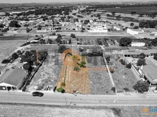 Terreno venda em Alpiarça, Santarém