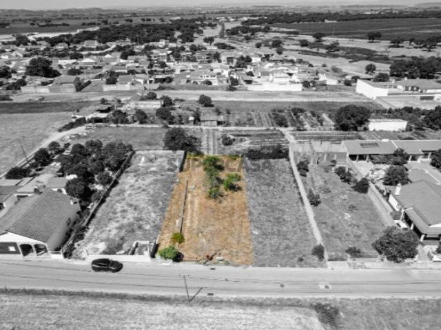 Terreno venda em Frade de Baixo, Alpiarça