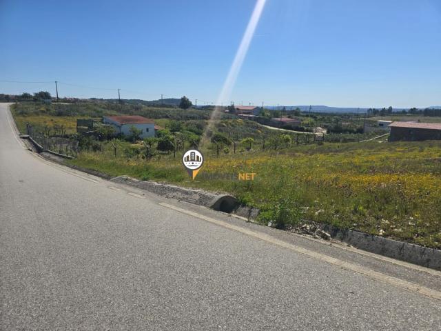 Terreno venda em Castelo Branco