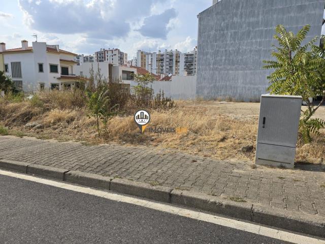 Terreno venda em Castelo Branco