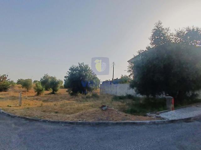 Terreno venda em Alcanena, Santarém