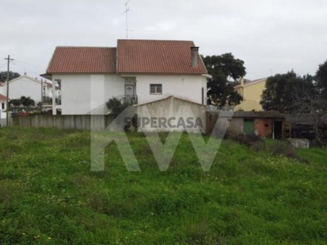Terreno venda em Castelo Branco