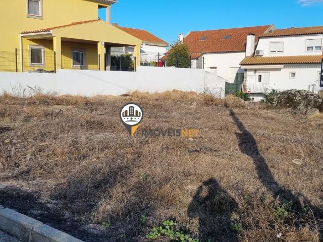 Terreno venda em Castelo Branco