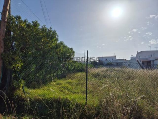 Terreno venda em Faro