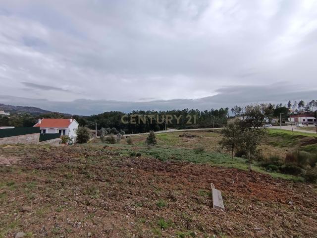 Terreno venda em Castelo Branco
