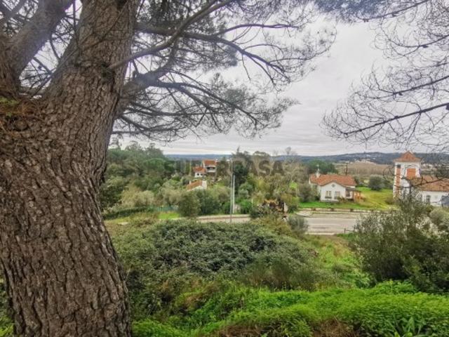 Terreno venda em Constância, Santarém