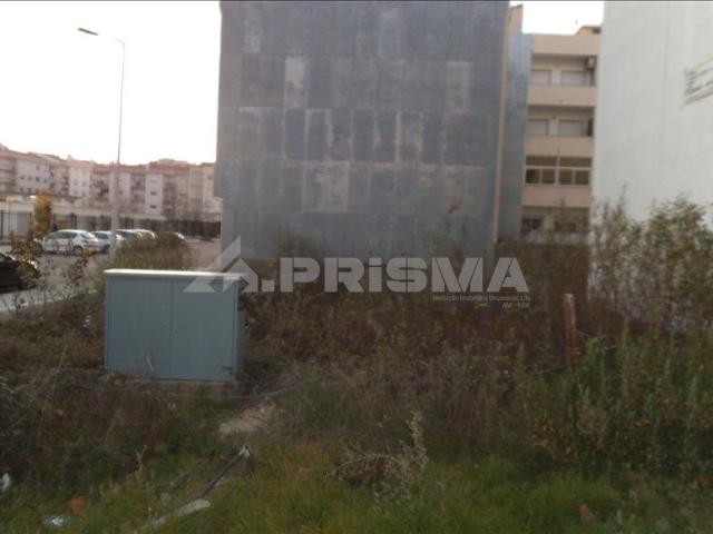 Terreno venda em Castelo Branco