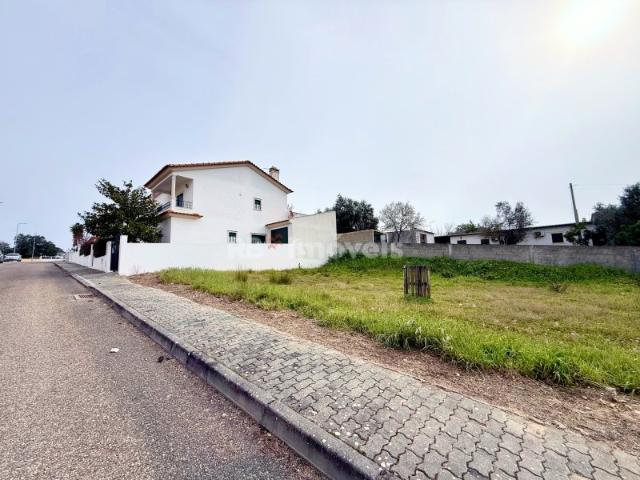 Terreno venda em Chamusca e Pinheiro Grande, Chamusca