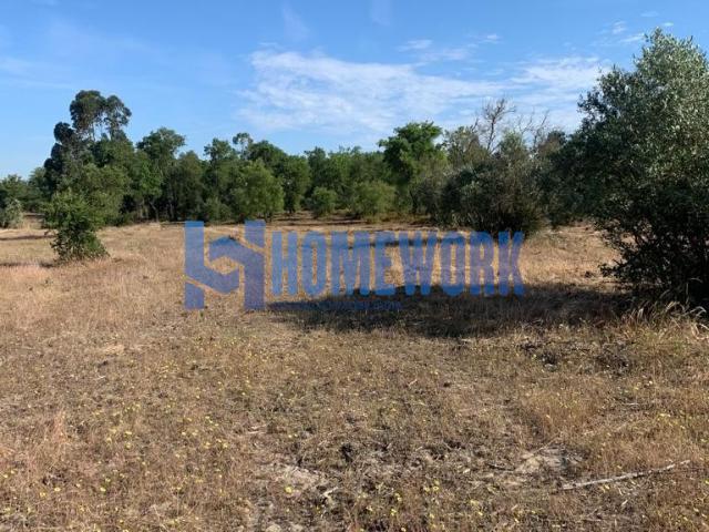 Terreno venda em Palmela, Setúbal