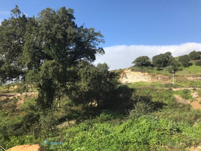 Terreno venda em Mafra Terreno venda em Mafra