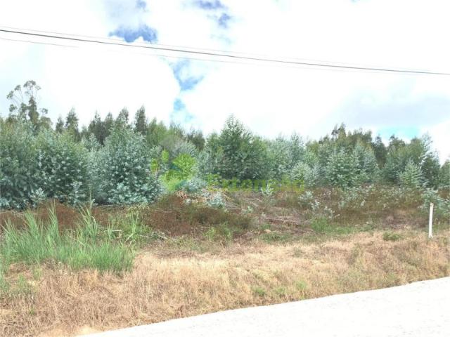 Terreno venda em Torres Vedras, Lisboa