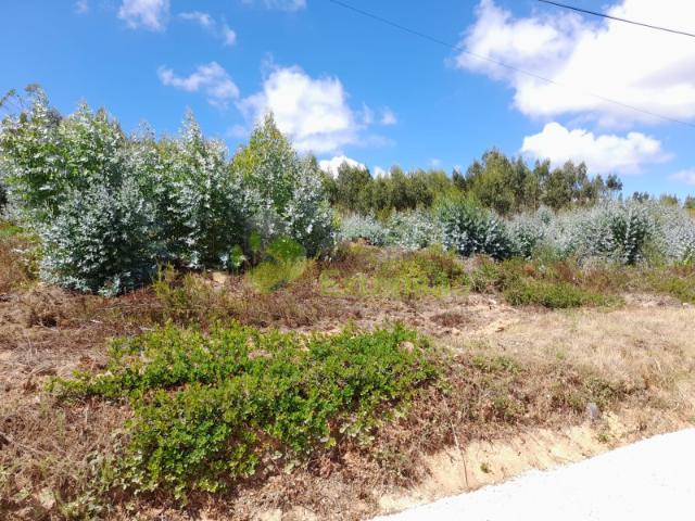 Terreno venda em Torres Vedras, Lisboa