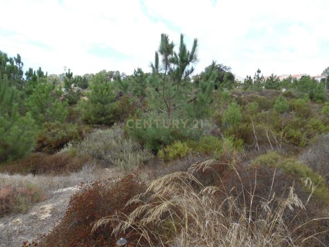Terreno venda em Quinta Do Conde, Setúbal