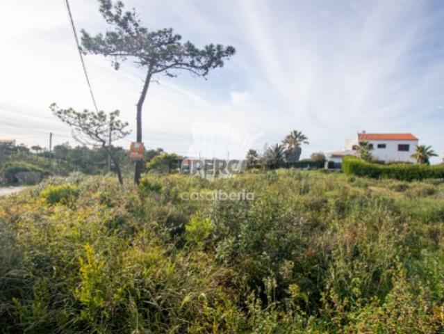 Terreno venda em Aljezur Terreno venda em Aljezur