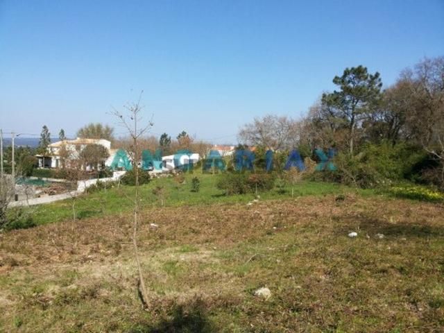 Terreno venda em Leiria