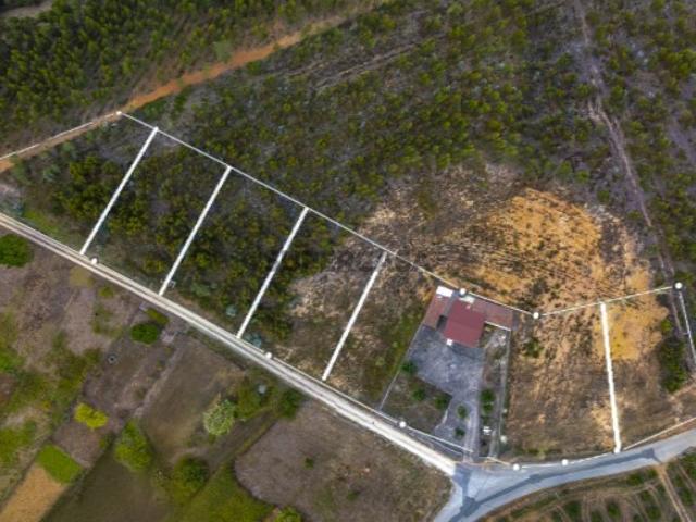 Terreno venda em Cadaval, Pêro Moniz