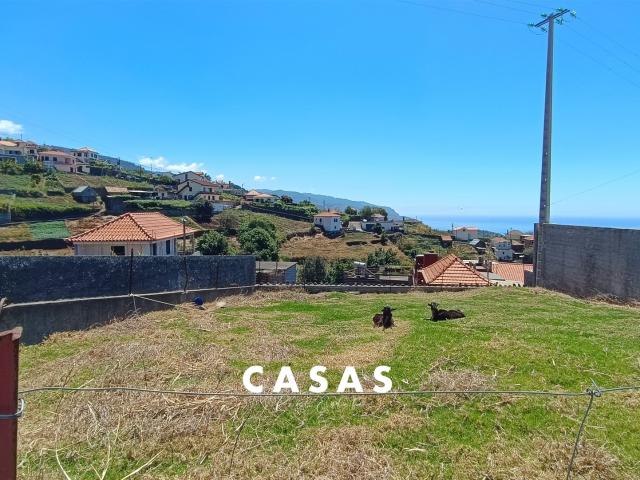 Loja venda em Ponta Do Sol, Ilha Da Madeira