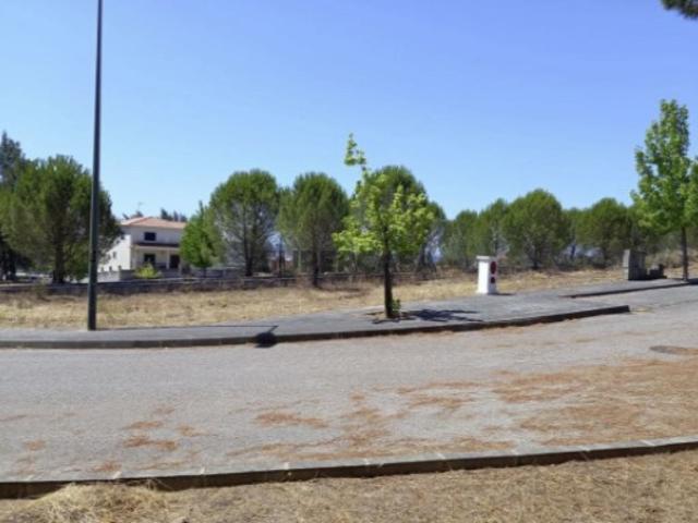 Terreno venda em Constância