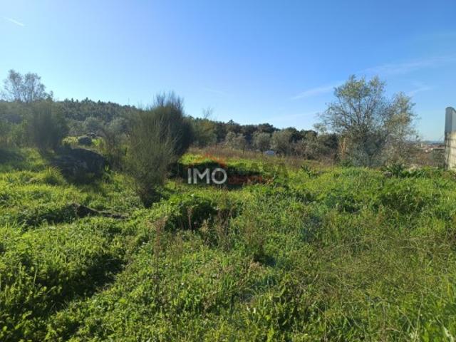 Terreno venda em Portalegre
