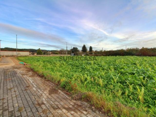 Terreno venda em Vila Do Conde, Porto