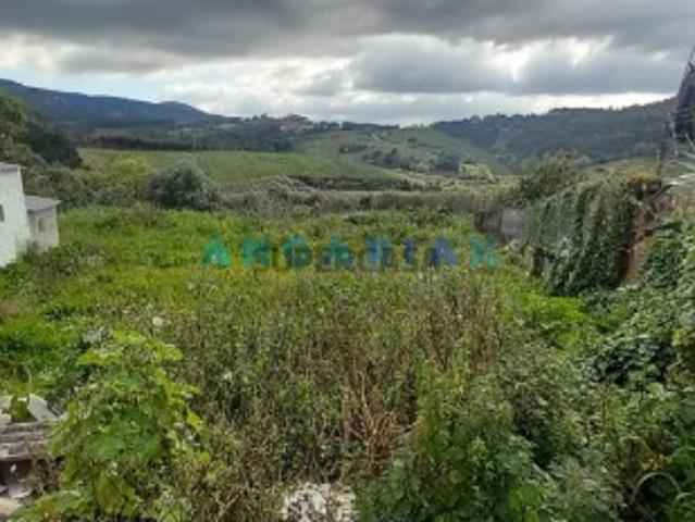 Terreno venda em Cadaval, Lisboa