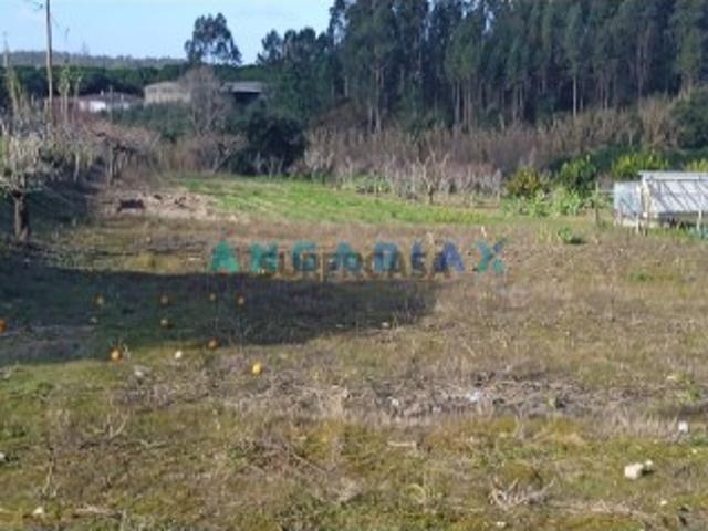 Terreno venda em Bairro dos Anjos, Leiria