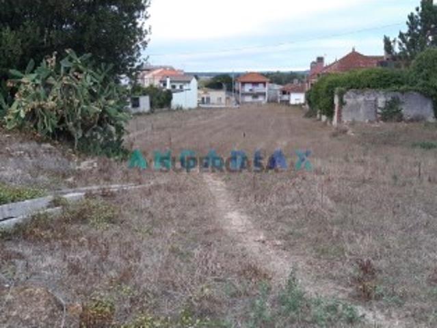 Terreno venda em Leiria