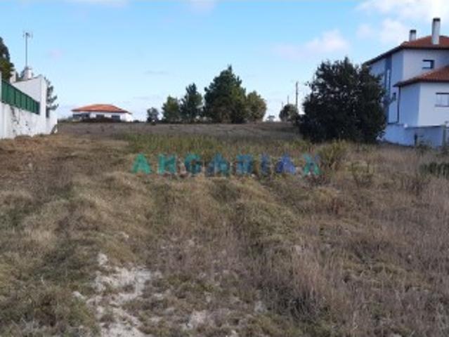 Terreno venda em Leiria