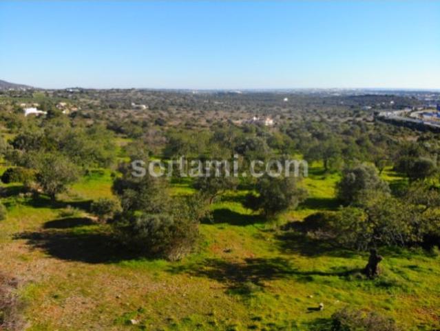 Terreno venda em Faro