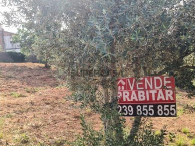 Terreno venda em Coimbrã, Coimbra
