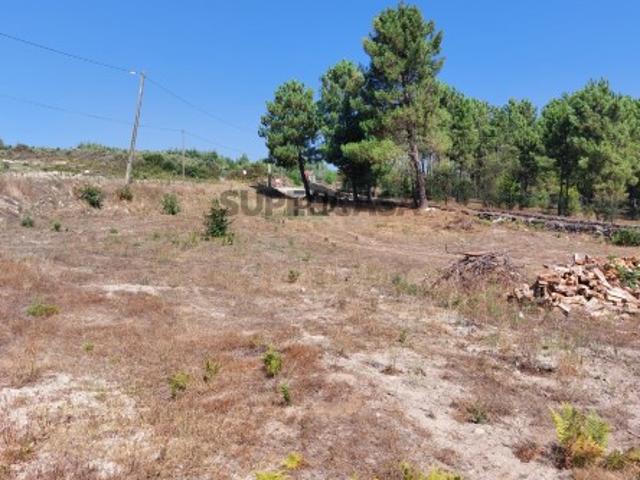 Terreno venda em Mangualde, Penedo da Feiticeira Terreno venda em Mangualde, Penedo da Feiticeira