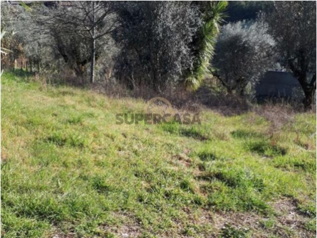Terreno venda em Viseu