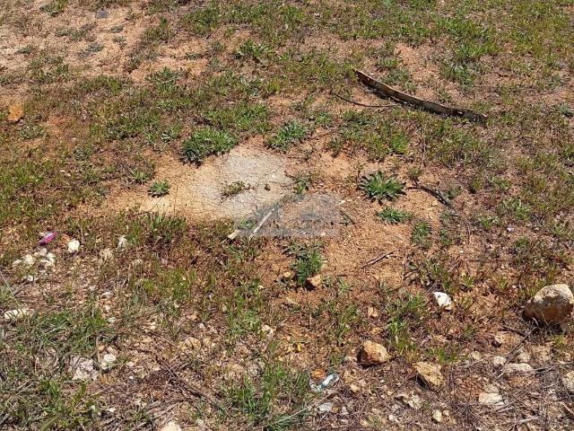 Terreno venda em Lagos, Faro