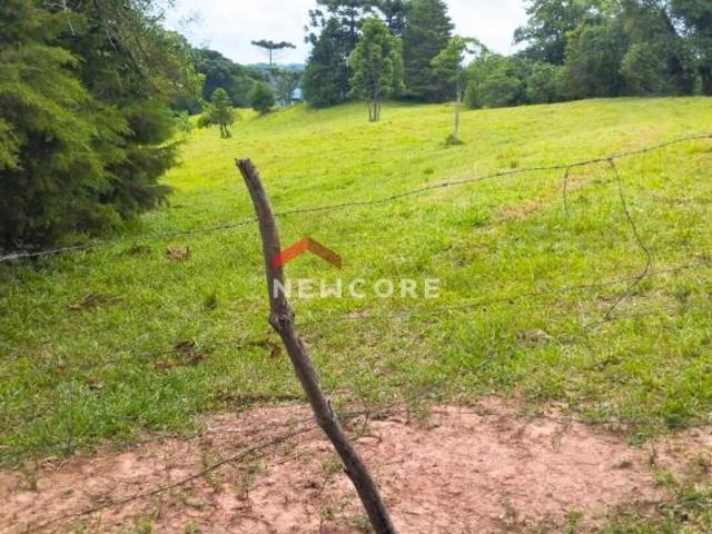 Terreno venda em Região Geográfica Imediata de Curitiba, Região Metropolitana de Curitiba