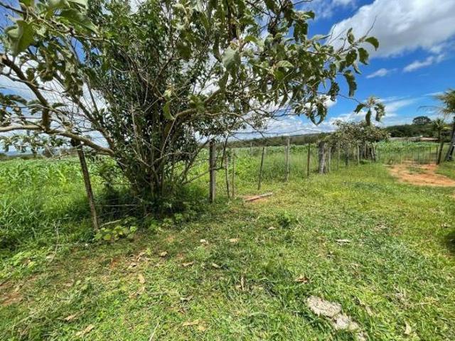 Sítio e chácara venda em Região Geográfica Imediata de Águas Lindas de Goiás, Região Integrada de Desenvolvimento do Distrito Federal e Entorno