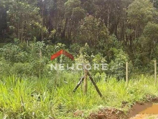 Terreno venda em Região Imediata de Taubaté-Pindamonhangaba, Região Metropolitana do Vale do Paraíba e Litoral Norte