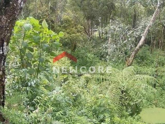 Terreno venda em Campos do Jordão