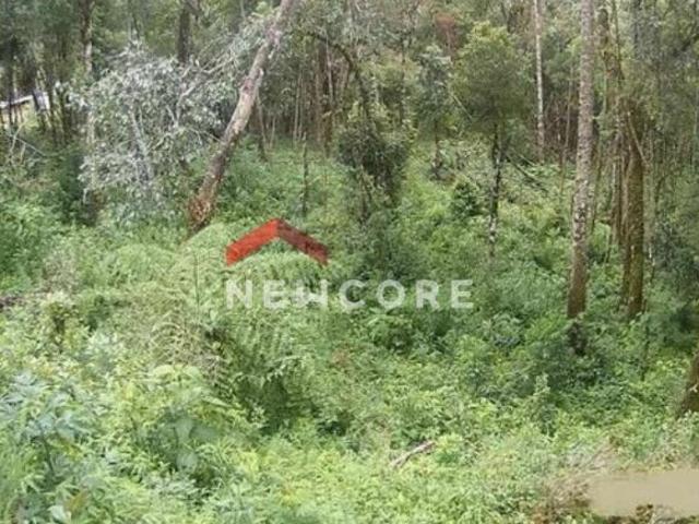 Terreno venda em Região Imediata de Taubaté-Pindamonhangaba, Região Metropolitana do Vale do Paraíba e Litoral Norte