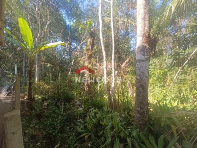 Terreno venda em Região Imediata de Caraguatatuba-Ubatuba-São Sebastião, Região Metropolitana do Vale do Paraíba e Litoral Norte