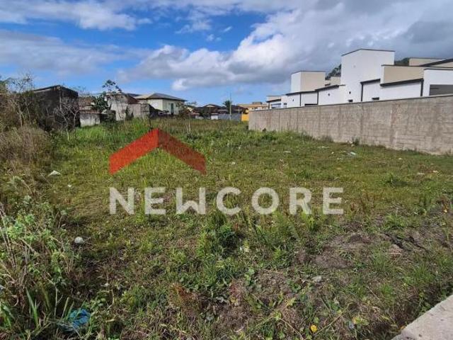 Terreno venda em São Vicente, Formosa