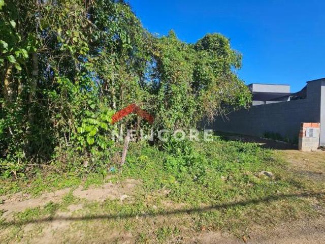 Terreno venda em Região Imediata de Caraguatatuba-Ubatuba-São Sebastião, Região Metropolitana do Vale do Paraíba e Litoral Norte
