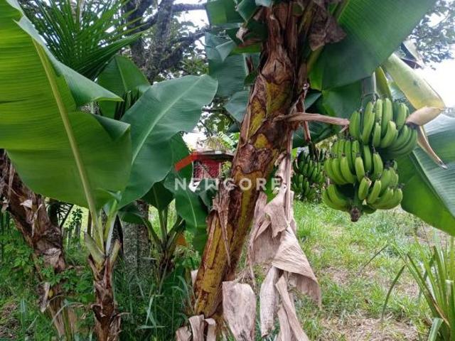 Terreno venda em Vila Victória, Mogi das Cruzes