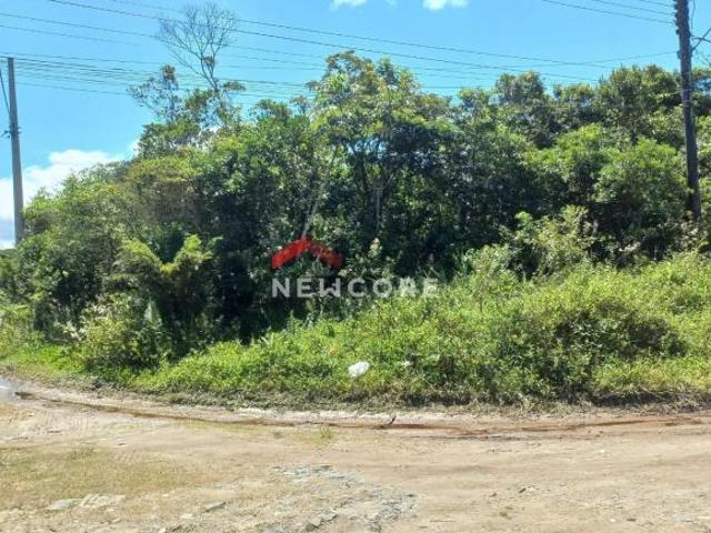 Terreno venda em Região Geográfica Imediata de Curitiba, Região Metropolitana de Curitiba