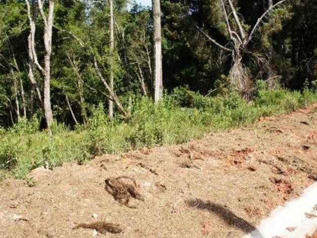 Terreno venda em Região Imediata de Taubaté-Pindamonhangaba, Região Metropolitana do Vale do Paraíba e Litoral Norte