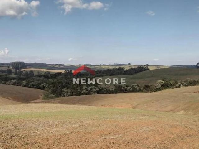 Terreno venda em Região Geográfica Imediata de Ivaiporã, Cândido de Abreu