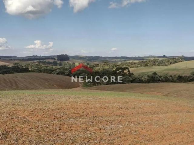 Terreno venda em Região Geográfica Imediata de Ivaiporã, Cândido de Abreu
