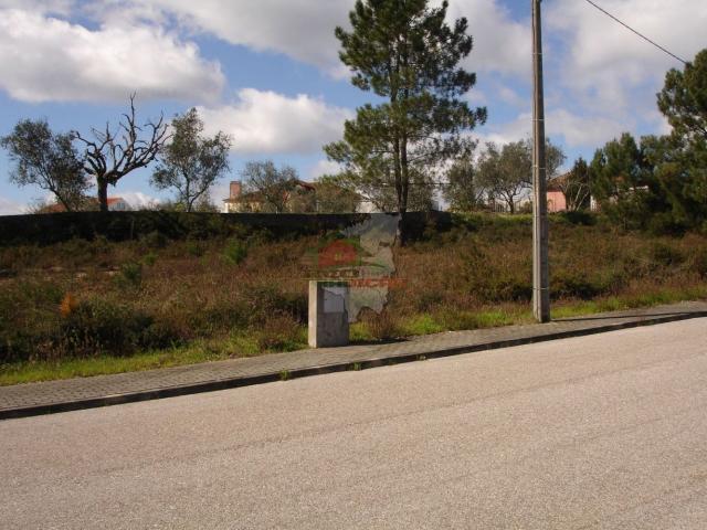 Terreno venda em Castelo Branco, Cumeada