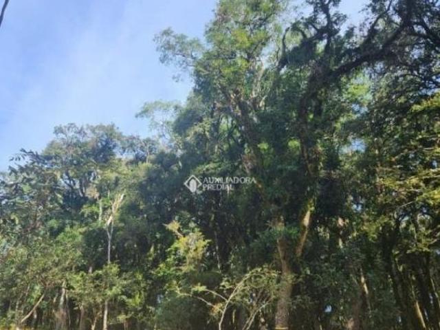 Terreno venda em Região Geográfica Imediata de Caxias do Sul, Canela
