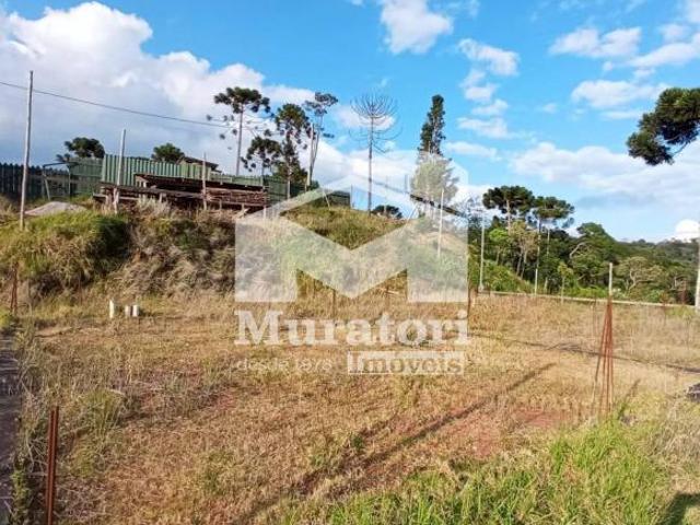 Terreno venda em Vila Paulista, Campos do Jordão