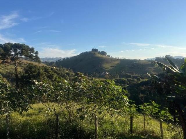 Sítio e chácara venda em Gonçalves